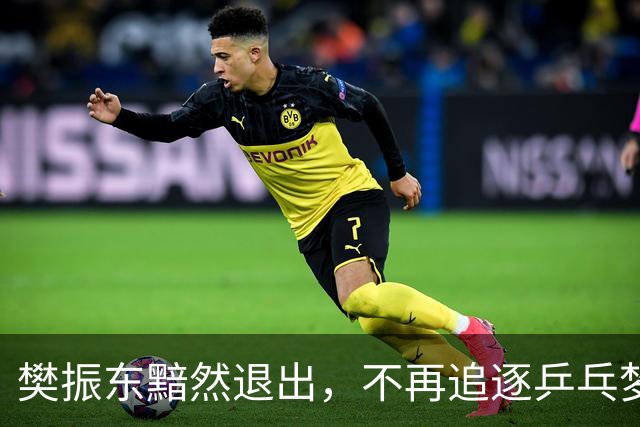樊振东黯然退出，不再追逐乒乓梦的背后故事